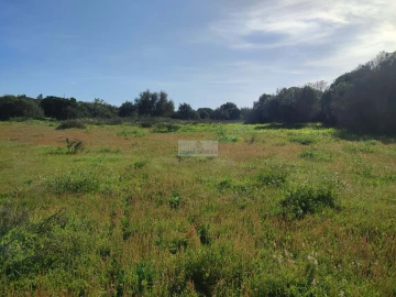 Terreno para Venda em Barão de São Miguel