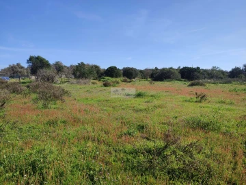 Terreno para Venda em Barão de São Miguel