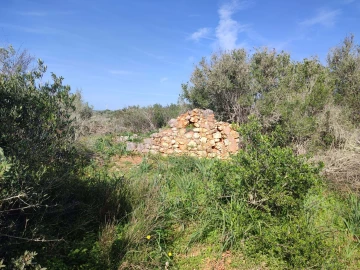 Terreno para Venda em Barão de São Miguel