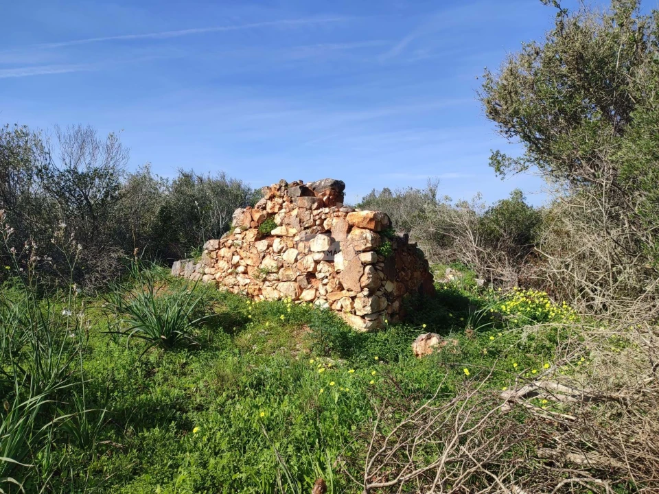 Terreno para Venda em Barão de São Miguel Foto 1