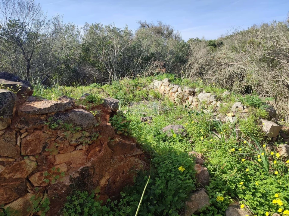 Terreno para Venda em Barão de São Miguel Foto 5