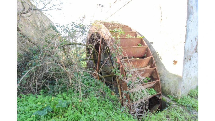 Terreno para Venda em Raposa Foto 5