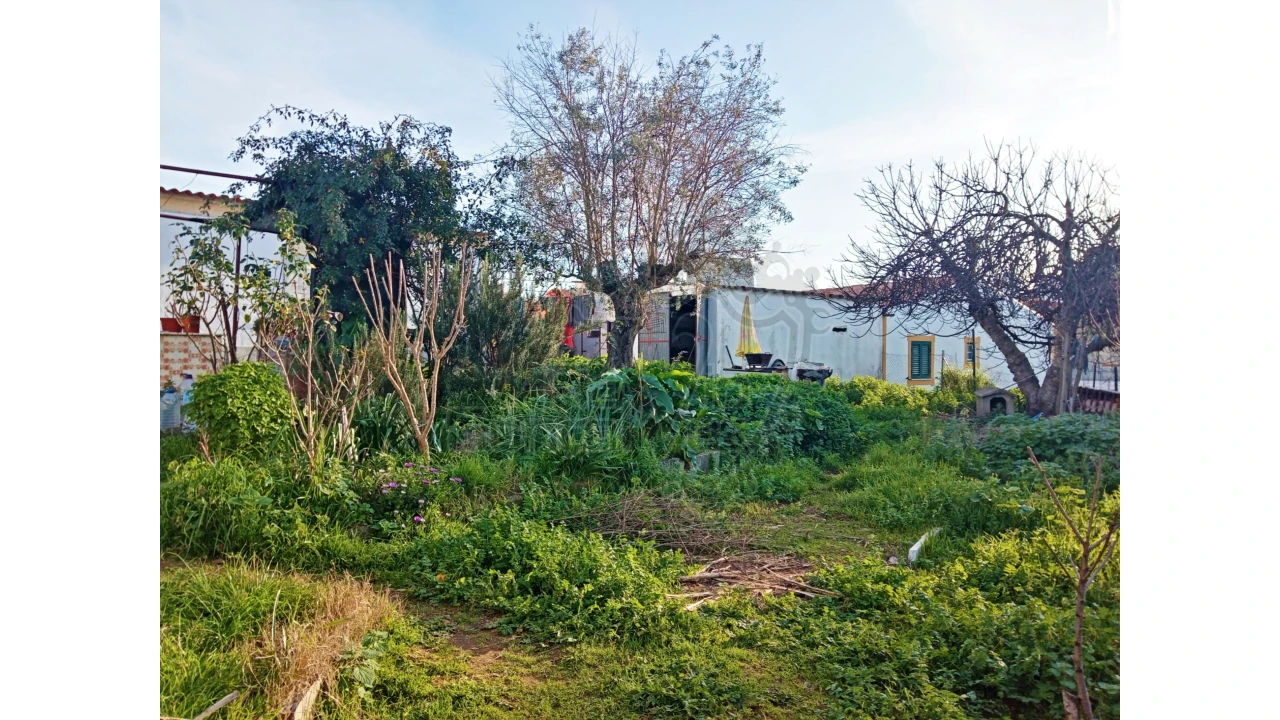Moradia T3 para Venda em Estremoz (Santa Maria e Santo André) Foto 20