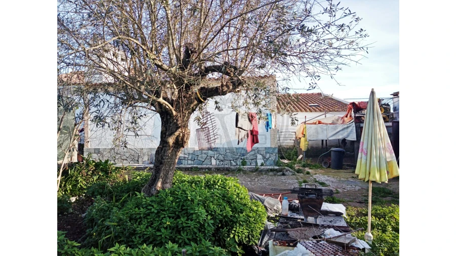 Moradia T3 para Venda em Estremoz (Santa Maria e Santo André) Foto 16