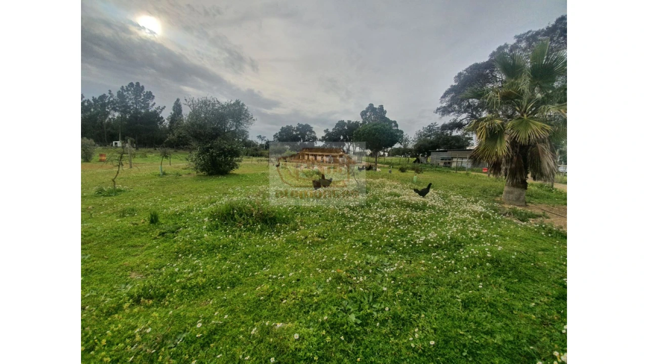 Quinta T2 para Venda em Grândola e Santa Margarida da Serra Foto 11