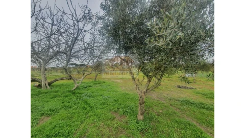 Quinta T2 para Venda em Grândola e Santa Margarida da Serra