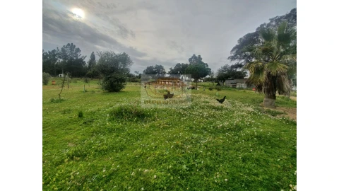 Quinta T2 para Venda em Grândola e Santa Margarida da Serra