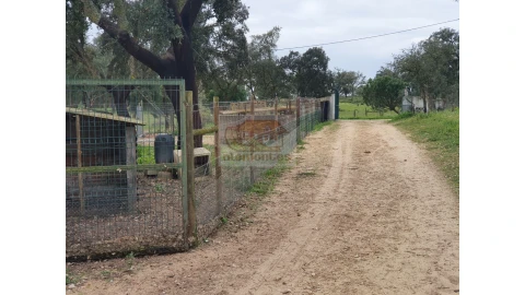 Quinta T2 para Venda em Grândola e Santa Margarida da Serra
