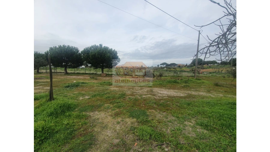 Quinta T2 para Venda em Grândola e Santa Margarida da Serra Foto 8