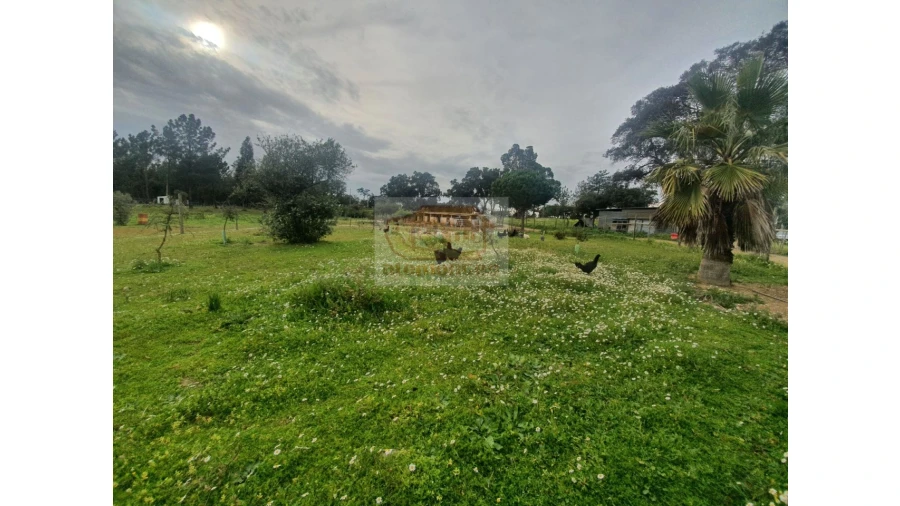 Quinta T2 para Venda em Grândola e Santa Margarida da Serra Foto 11