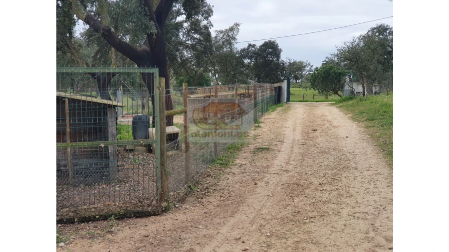 Quinta T2 para Venda em Grândola e Santa Margarida da Serra Foto 12