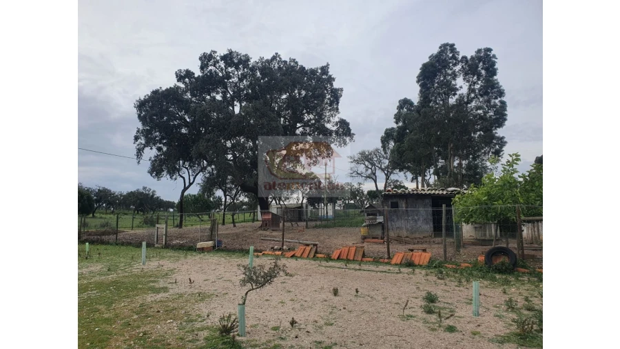 Quinta T2 para Venda em Grândola e Santa Margarida da Serra Foto 13