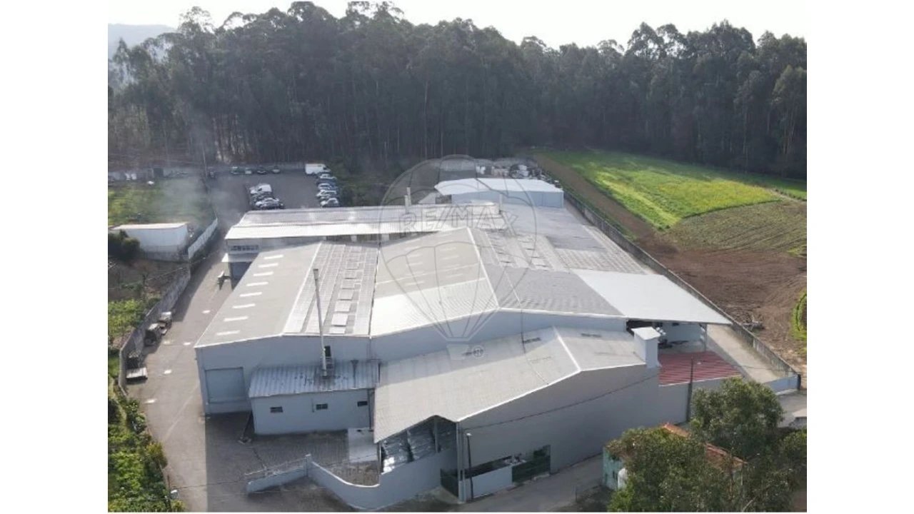 Negócio para Venda em Ovar, São João, Arada e São Vicente de Pereira Jusã Foto 1