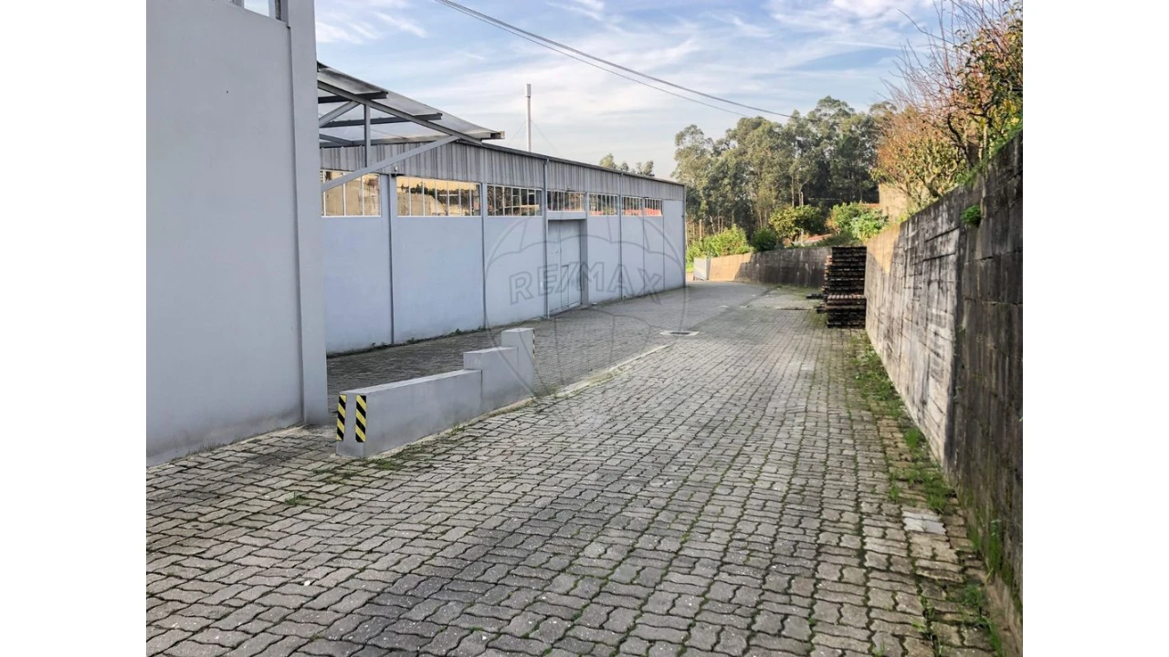 Negócio para Venda em Ovar, São João, Arada e São Vicente de Pereira Jusã Foto 22