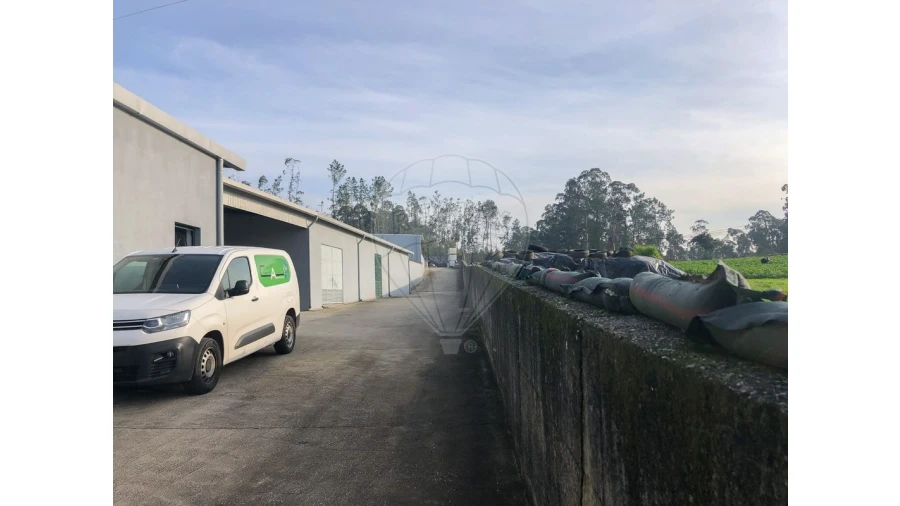 Negócio para Venda em Ovar, São João, Arada e São Vicente de Pereira Jusã Foto 13