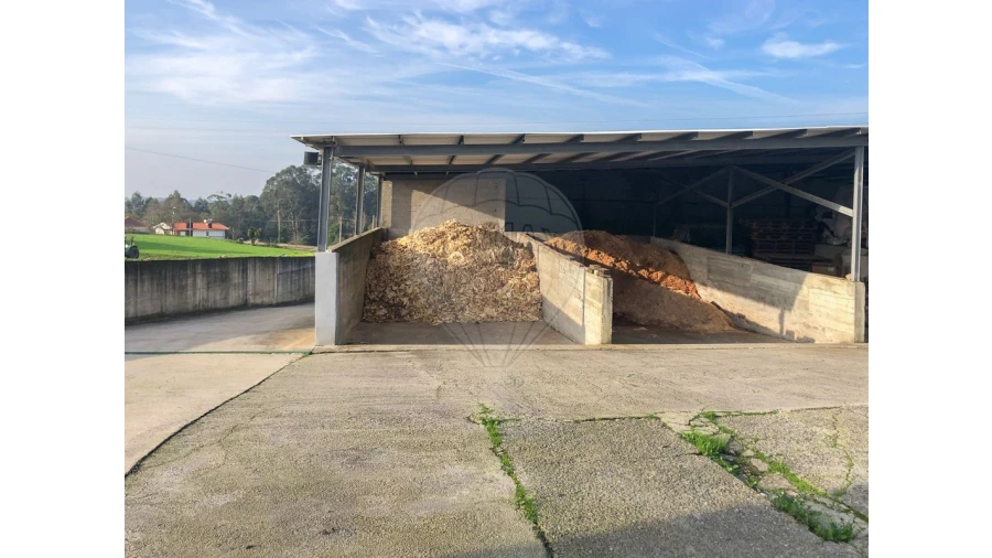 Negócio para Venda em Ovar, São João, Arada e São Vicente de Pereira Jusã Foto 19