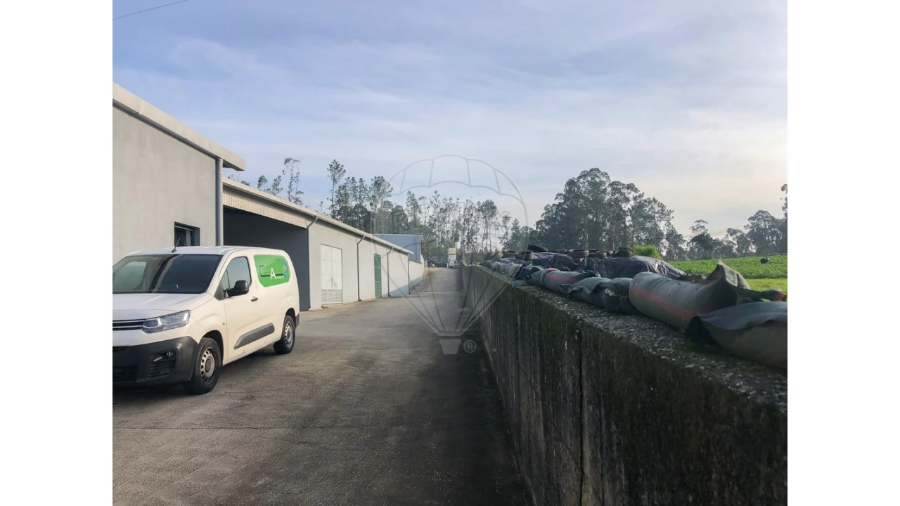 Negócio para Venda em Ovar, São João, Arada e São Vicente de Pereira Jusã Foto 13