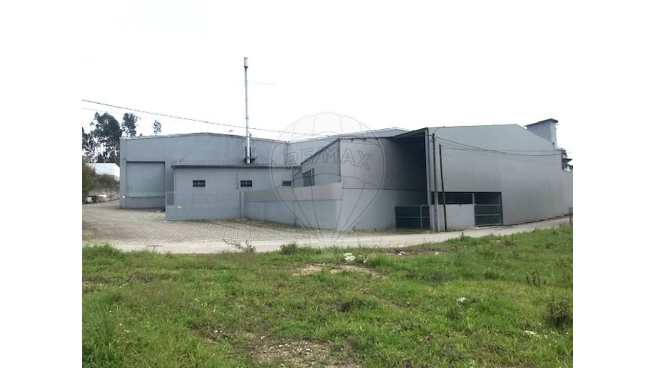 Negócio para Venda em Ovar, São João, Arada e São Vicente de Pereira Jusã Foto 23