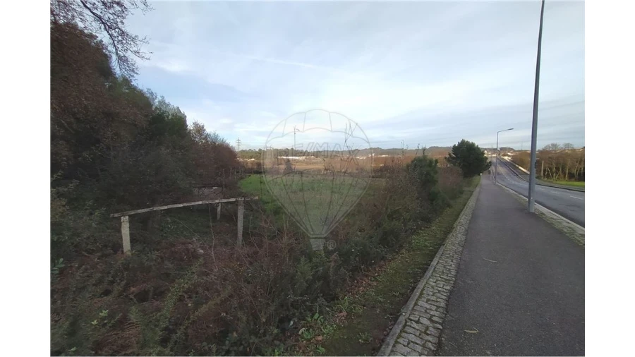Terreno para Venda em São Pedro Fins Foto 3