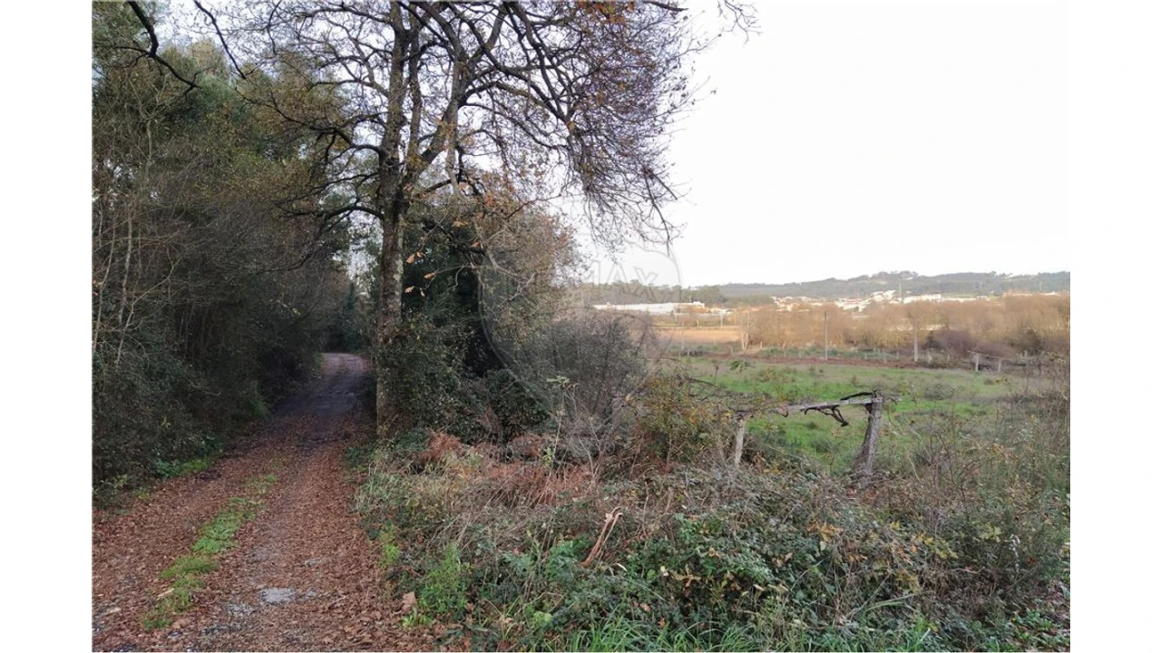 Terreno para Venda em São Pedro Fins Foto 4