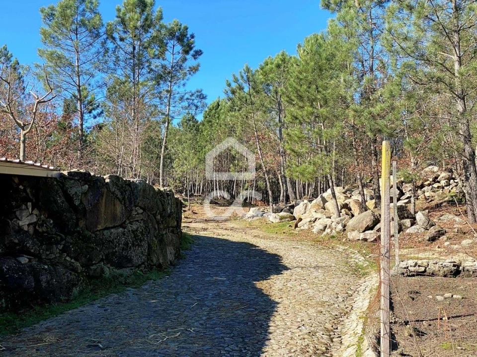 Moradia T4 para Venda em Bodiosa Foto 40