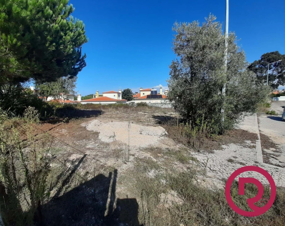 Terreno para Venda em Nadadouro Foto 3