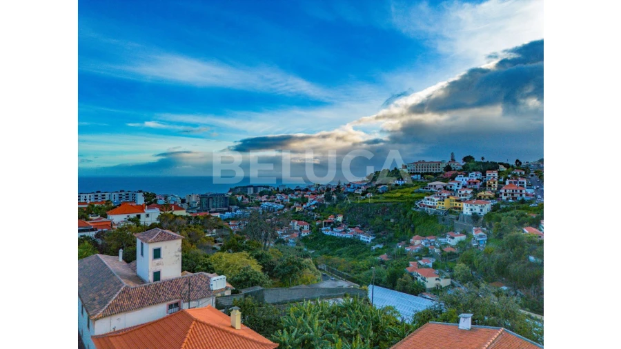 Terreno para Venda em Funchal (São Pedro) Foto 12