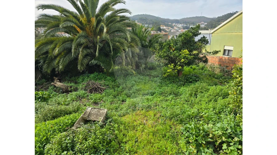 Prédio para Venda em Milharado Foto 5