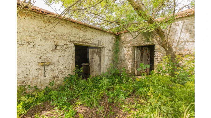 Armazém para Venda em Igreja Nova e Cheleiros Foto 2