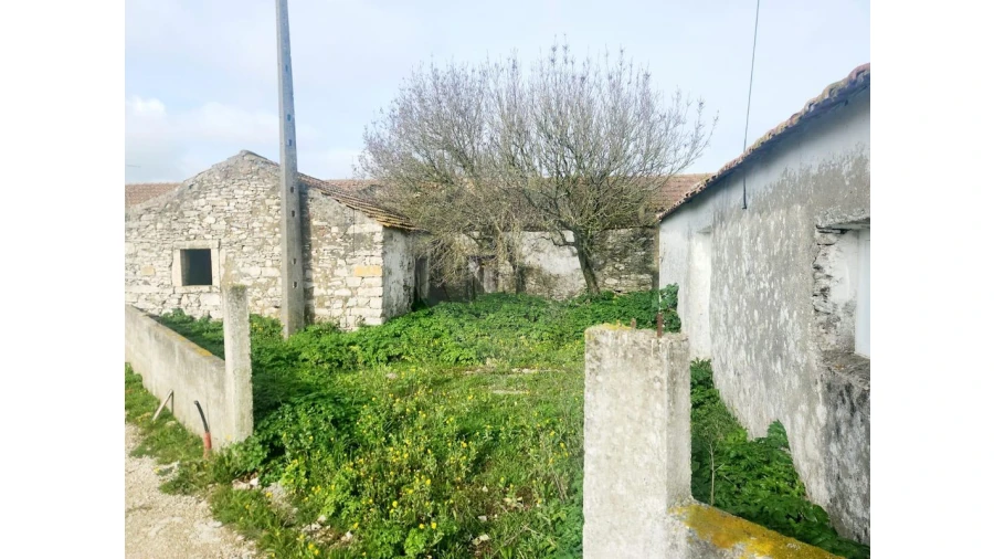 Armazém para Venda em Igreja Nova e Cheleiros Foto 10