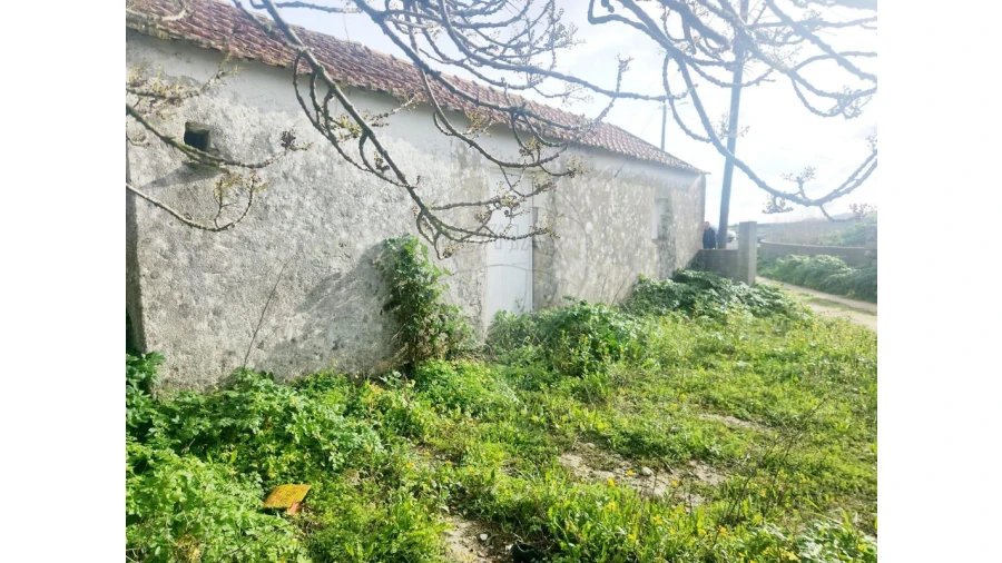 Armazém para Venda em Igreja Nova e Cheleiros Foto 9