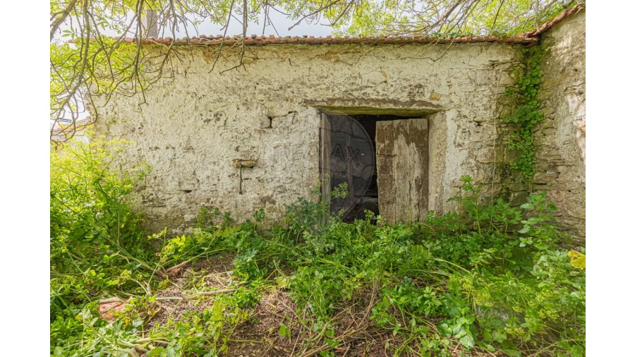 Armazém para Venda em Igreja Nova e Cheleiros Foto 3