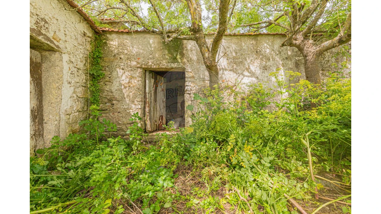 Moradia T5 para Venda em Igreja Nova e Cheleiros Foto 4