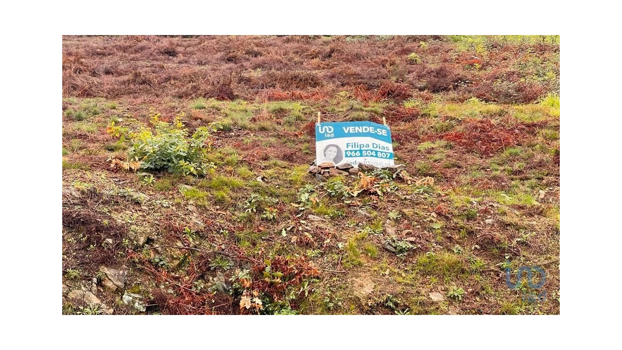 Terreno para Venda em Alvarenga Foto 6