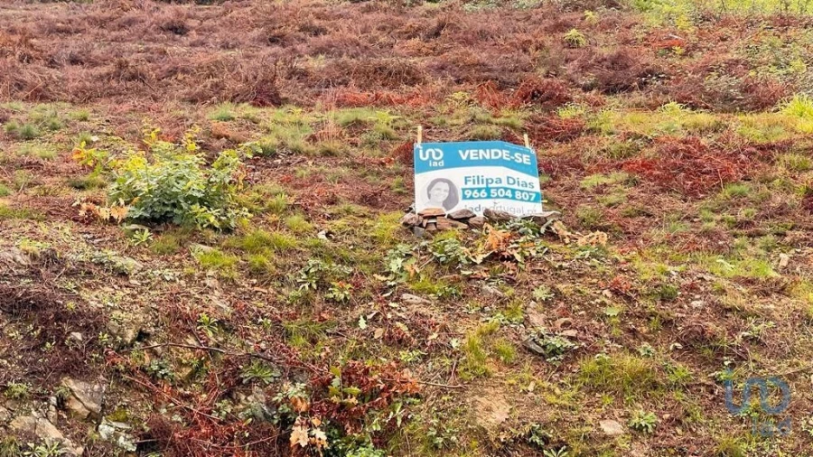 Terreno para Venda em Alvarenga Foto 6