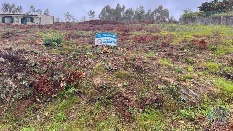 Terreno para Venda em Alvarenga Foto 3