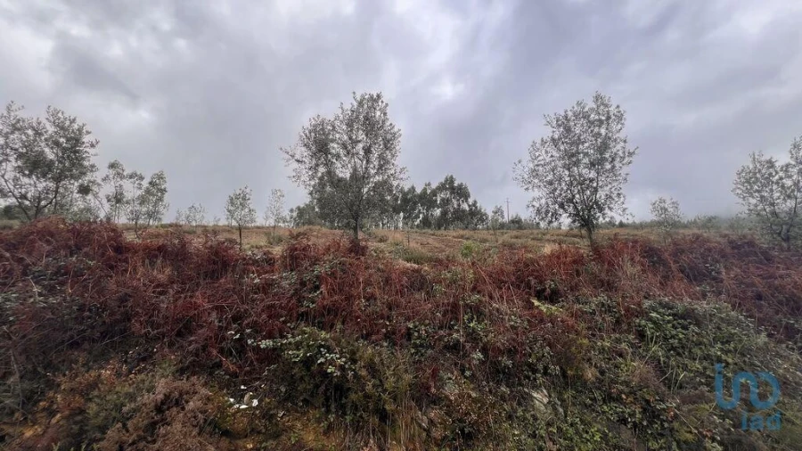 Terreno para Venda em Alvarenga Foto 5