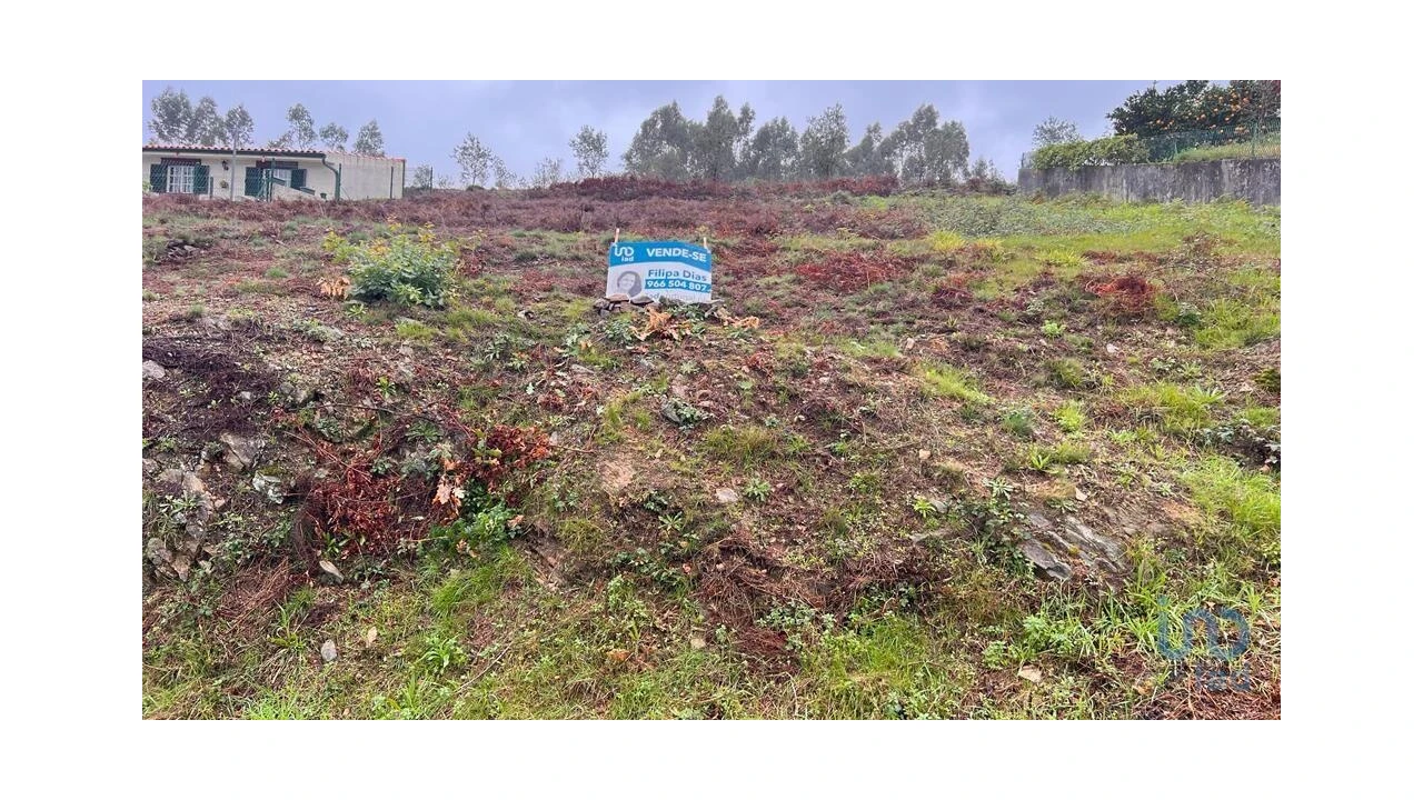 Terreno para Venda em Alvarenga Foto 3