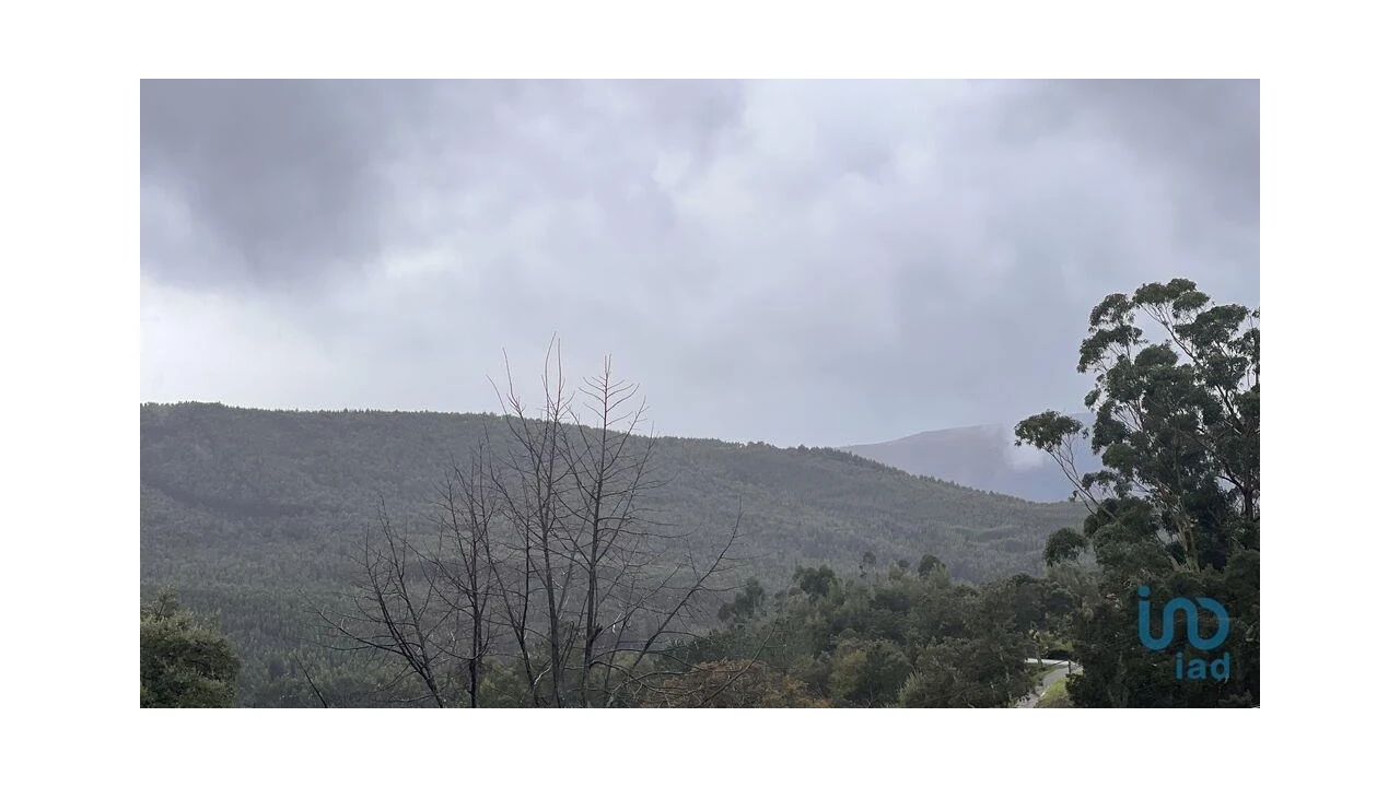 Terreno para Venda em Alvarenga Foto 11