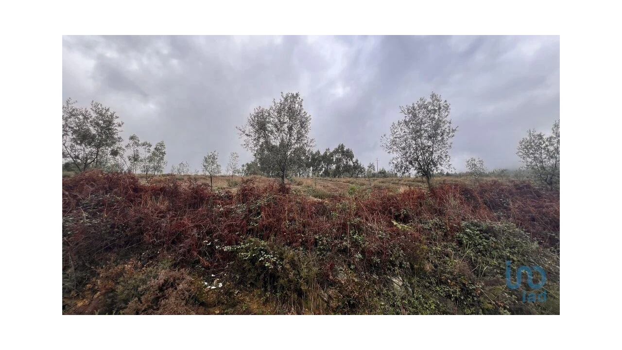 Terreno para Venda em Alvarenga Foto 5
