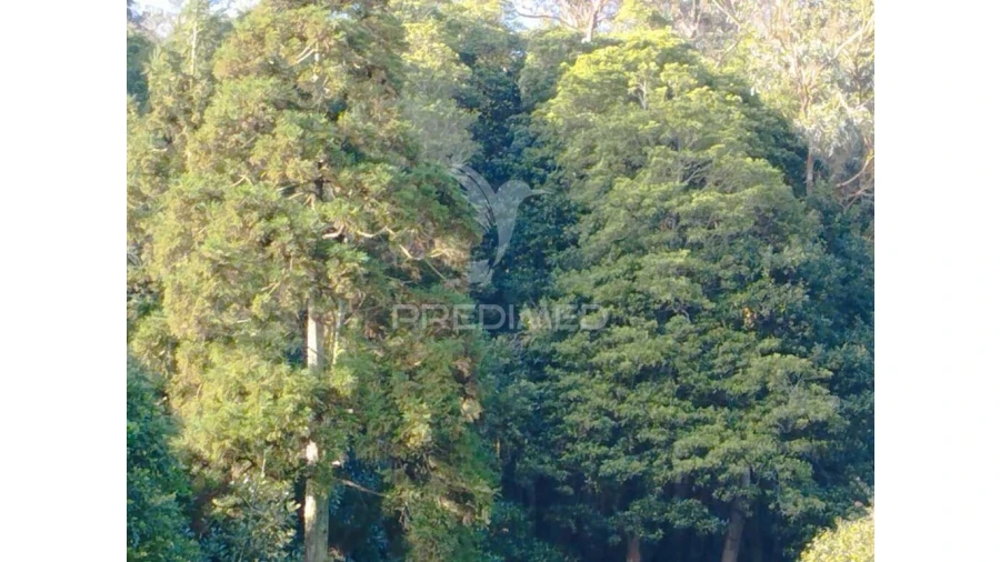 Terreno para Venda em Fontinhas Foto 3