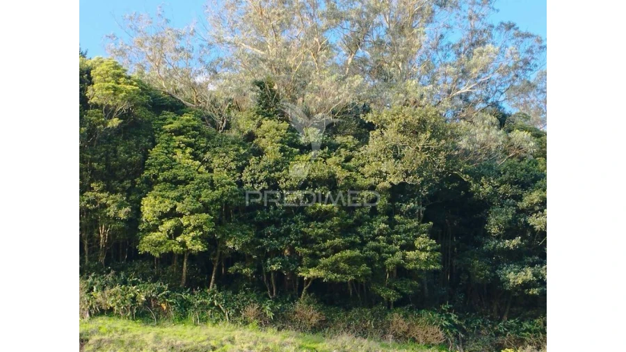 Terreno para Venda em Fontinhas Foto 2