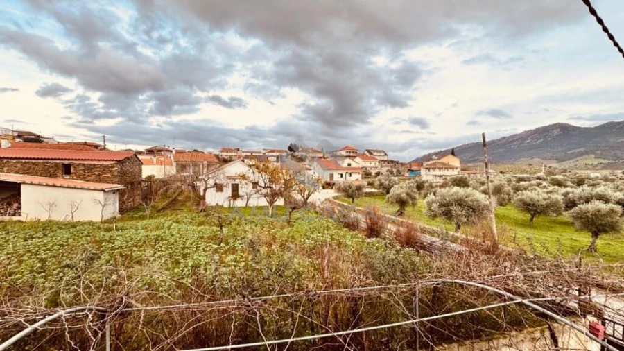 Moradia T3 para Venda em Barcel, Marmelos e Valverde da Gestosa Foto 53