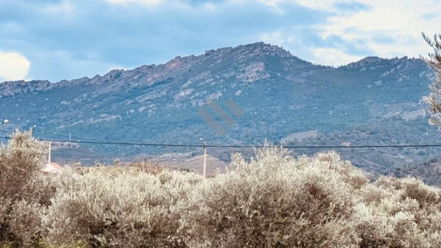Moradia T3 para Venda em Barcel, Marmelos e Valverde da Gestosa Foto 32