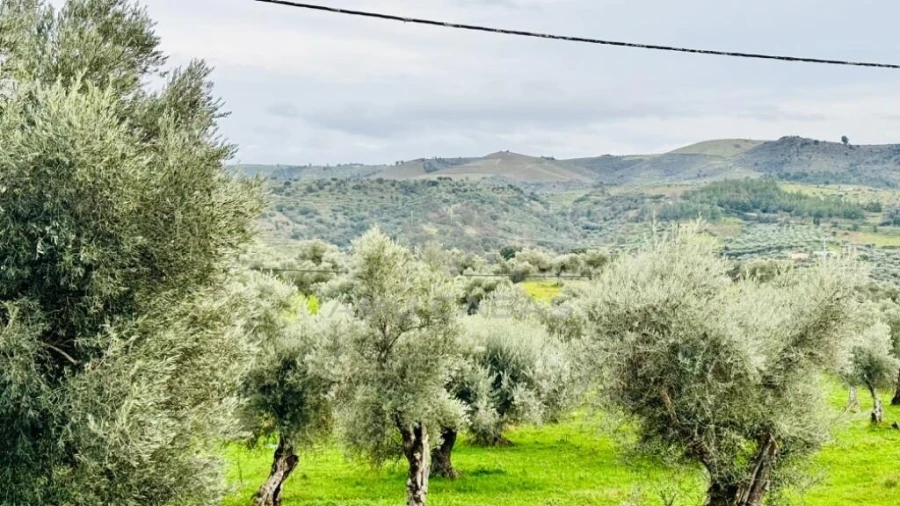Moradia T3 para Venda em Barcel, Marmelos e Valverde da Gestosa Foto 52