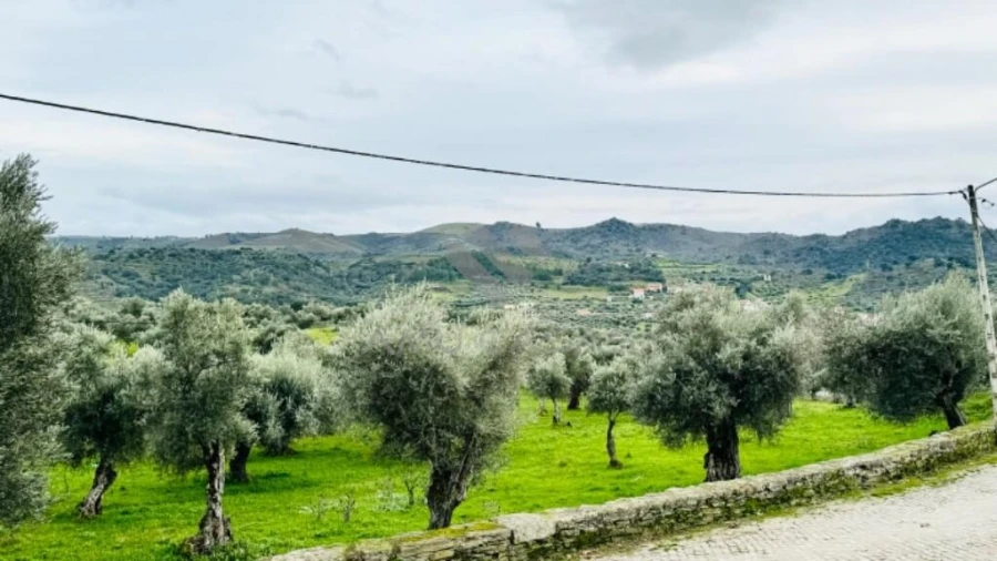 Moradia T3 para Venda em Barcel, Marmelos e Valverde da Gestosa Foto 51