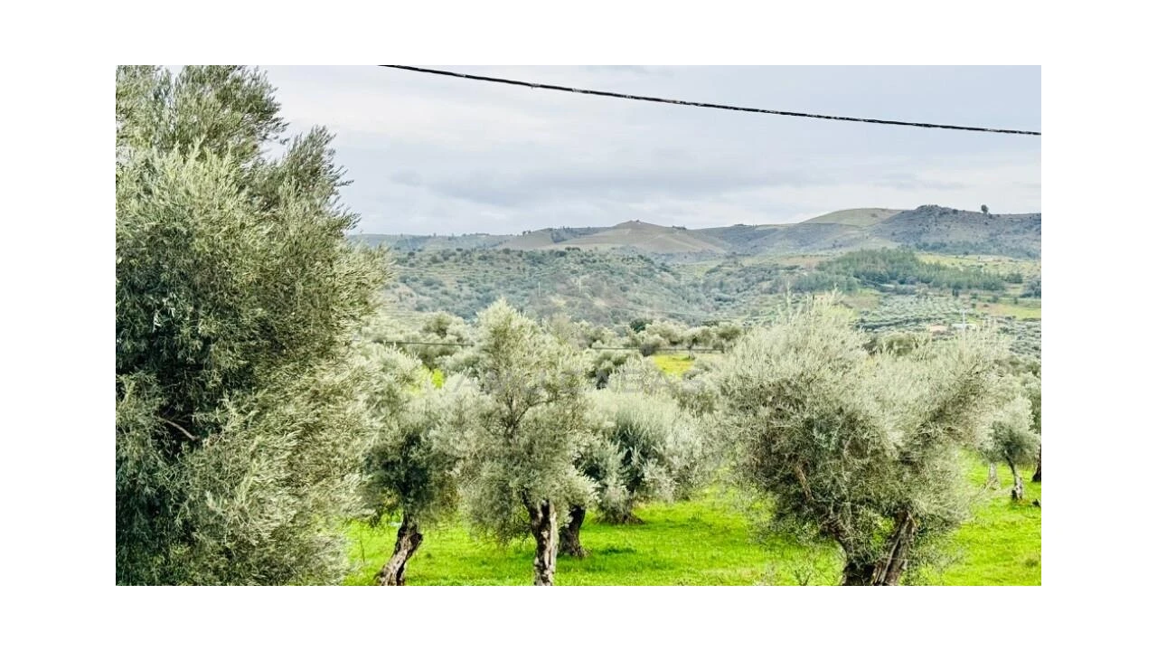 Moradia T3 para Venda em Barcel, Marmelos e Valverde da Gestosa Foto 52