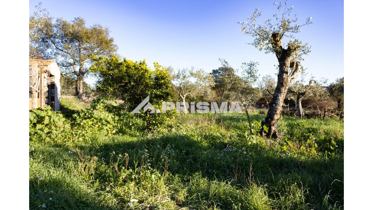 Quinta T2 para Venda em Lardosa Foto 24