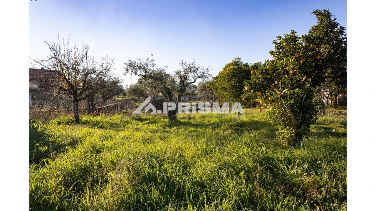 Quinta T2 para Venda em Lardosa Foto 23