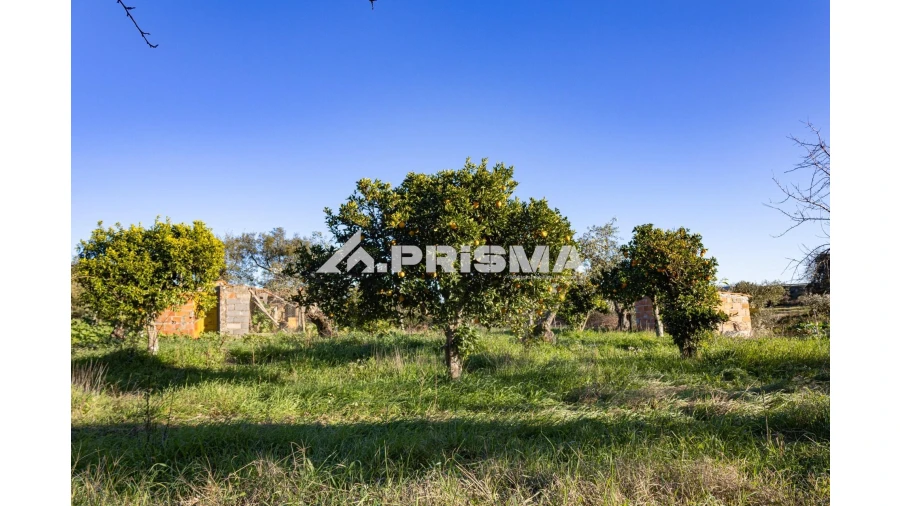 Quinta T2 para Venda em Lardosa Foto 20